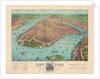New York: A Bird's Eye View from the Harbor by Currier & Ives
