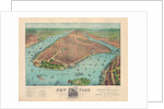 New York: A Bird's Eye View from the Harbor by Currier & Ives