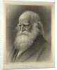 William Cullen Bryant by Anonymous