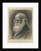 William Cullen Bryant by Anonymous