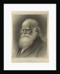 William Cullen Bryant by Anonymous