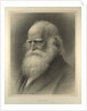 William Cullen Bryant by Anonymous
