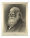 William Cullen Bryant by Anonymous