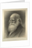 William Cullen Bryant by Anonymous