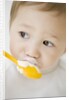 Boy having ice cream with spoon by Anonymous