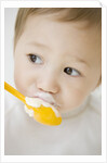 Boy having ice cream with spoon by Anonymous