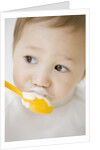 Boy having ice cream with spoon by Anonymous