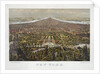 New York by Anonymous