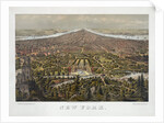 New York by Anonymous