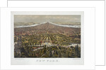 New York by Anonymous