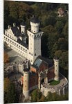 Schloss Neuschwanstein by Anonymous
