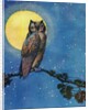 Winking owl with full moon by Anonymous