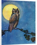 Winking owl with full moon by Anonymous