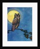 Winking owl with full moon by Anonymous