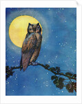Winking owl with full moon by Anonymous
