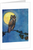 Winking owl with full moon by Anonymous