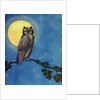Winking owl with full moon by Anonymous