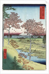 Sunset Hill, Meguro in the Eastern Capital by Ando Hiroshige