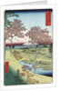 Sunset Hill, Meguro in the Eastern Capital by Ando Hiroshige