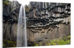Svartifoss Waterfall, Skaftafell National Park, Iceland by Anonymous