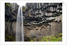 Svartifoss Waterfall, Skaftafell National Park, Iceland by Anonymous