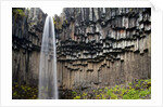 Svartifoss Waterfall, Skaftafell National Park, Iceland by Anonymous
