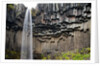 Svartifoss Waterfall, Skaftafell National Park, Iceland by Anonymous