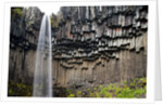 Svartifoss Waterfall, Skaftafell National Park, Iceland by Anonymous