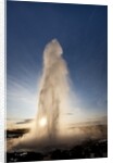 Strokkur Geyser at sunrise by Anonymous