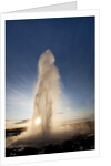 Strokkur Geyser at sunrise by Anonymous