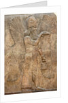 Assyrian relief of winged genie by Anonymous