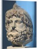 Head of Serapis wearing a bird skin by Anonymous