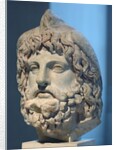 Head of Serapis wearing a bird skin by Anonymous