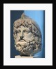 Head of Serapis wearing a bird skin by Anonymous