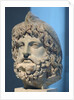 Head of Serapis wearing a bird skin by Anonymous