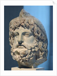 Head of Serapis wearing a bird skin by Anonymous