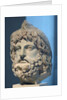 Head of Serapis wearing a bird skin by Anonymous