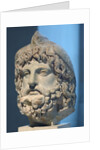 Head of Serapis wearing a bird skin by Anonymous