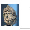 Head of Serapis wearing a bird skin by Anonymous