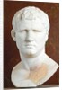 Portrait of M. Vipsanius Agrippa of the Gabii type by Anonymous