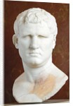 Portrait of M. Vipsanius Agrippa of the Gabii type by Anonymous