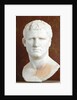 Portrait of M. Vipsanius Agrippa of the Gabii type by Anonymous