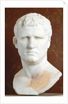 Portrait of M. Vipsanius Agrippa of the Gabii type by Anonymous