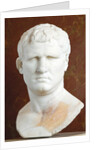 Portrait of M. Vipsanius Agrippa of the Gabii type by Anonymous