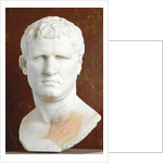 Portrait of M. Vipsanius Agrippa of the Gabii type by Anonymous