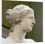Detail of Venus de Milo by Anonymous