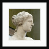 Detail of Venus de Milo by Anonymous