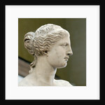 Detail of Venus de Milo by Anonymous