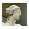 Detail of Venus de Milo by Anonymous