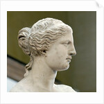 Detail of Venus de Milo by Anonymous
